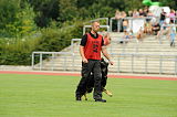Cidman vom Wolfsdreieck