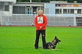 Nederholm's Heart von der Flex