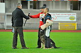 Nederholm's Heart von der Flex