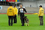 Amager’s Rofus