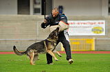 Amager’s Rofus