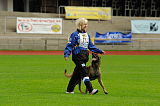 Tammikallion Lucky Luke