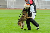 C’max De La Croisee Des Loups