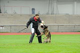 C’max De La Croisee Des Loups