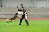C’max De La Croisee Des Loups