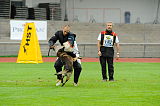 C’max De La Croisee Des Loups