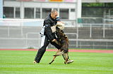 C’max De La Croisee Des Loups