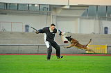 Malimaniac´s Action