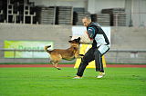 Malimaniac´s Action