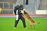 Malimaniac´s Action