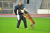 Malimaniac´s Action