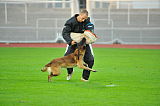 Malimaniac´s Action