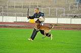 Malimaniac´s Action