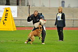Alma Veranis K-9 Dog Center