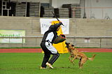Alma Veranis K-9 Dog Center