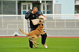 Alma Veranis K-9 Dog Center