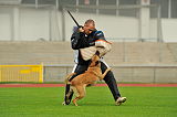Alma Veranis K-9 Dog Center