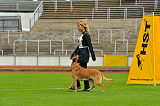 Alma Veranis K-9 Dog Center