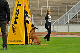 Alma Veranis K-9 Dog Center