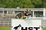 Xido von der Verstandheim