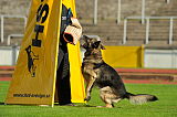 Falko von Guillannes