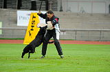 Black King Kong of Chiao Li Ya FCI
