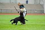 Black King Kong of Chiao Li Ya FCI