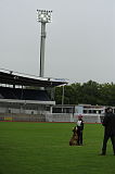 Jaxo vom Holzhauser Flur