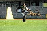 Boyd´s Bullriding Glenmore