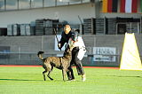 Boyd´s Bullriding Glenmore