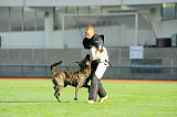 Boyd´s Bullriding Glenmore