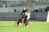 Boyd´s Bullriding Glenmore