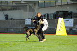 Boyd´s Bullriding Glenmore