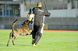 Boyd´s Bullriding Glenmore