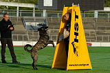 Boyd´s Bullriding Glenmore