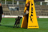 Boyd´s Bullriding Glenmore