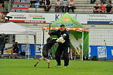 Djuke vom Steinteich