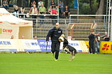 Djuke vom Steinteich