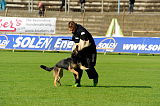 Hettie vom Ecke 