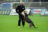 Düse vom Wulfs Wurf