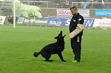 B'dog vom Eichbaum