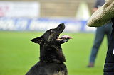 Quint von Walshagen