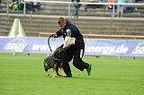 Aly von der Pflochsbacher Schmiede