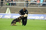 Aly von der Pflochsbacher Schmiede