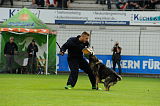 Otto von der Sperlingsbucht