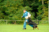 Bullweih vom Schandpfahl