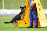 Indi vom Leitner-Bichl