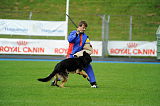 Karus of Timo Kennel