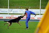 Karus of Timo Kennel