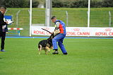 Karus of Timo Kennel